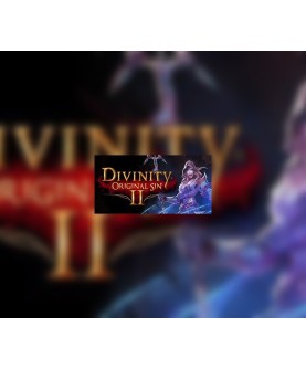 Divinity: Original Sin 2 - Divine Ascension DLC GOG.com Key GLOBAL